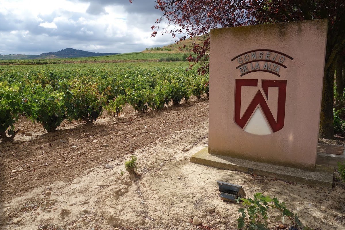 Bodegas Consejo de la Alta