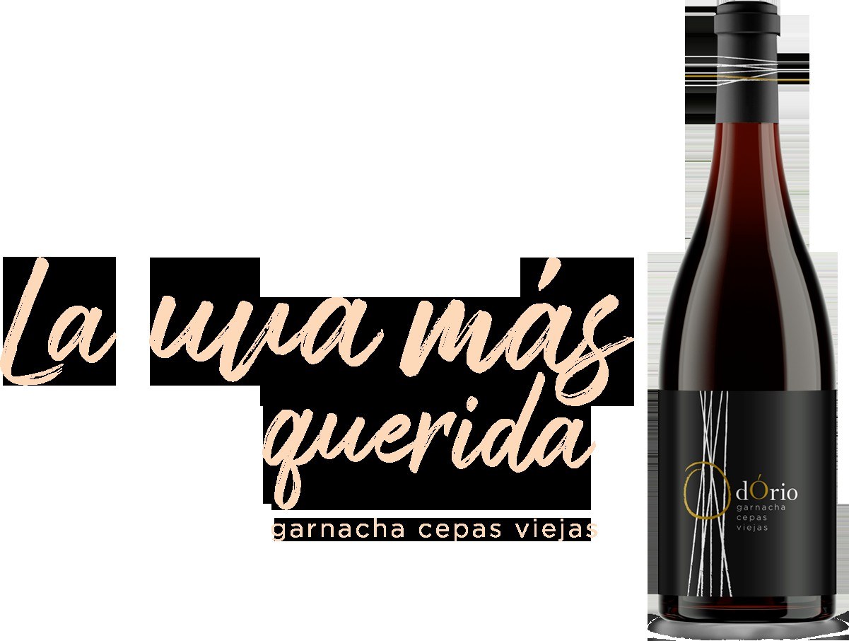 Bodegas Andres Diaz