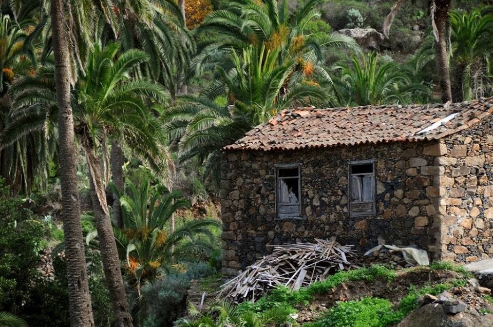 Bodega Caserío Miradero