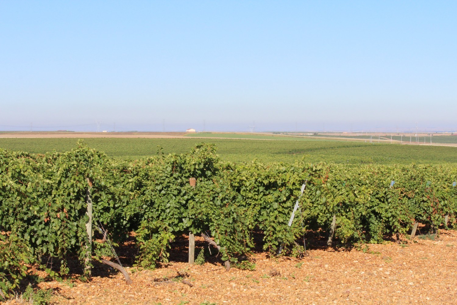 Bodegas Félix Sanz