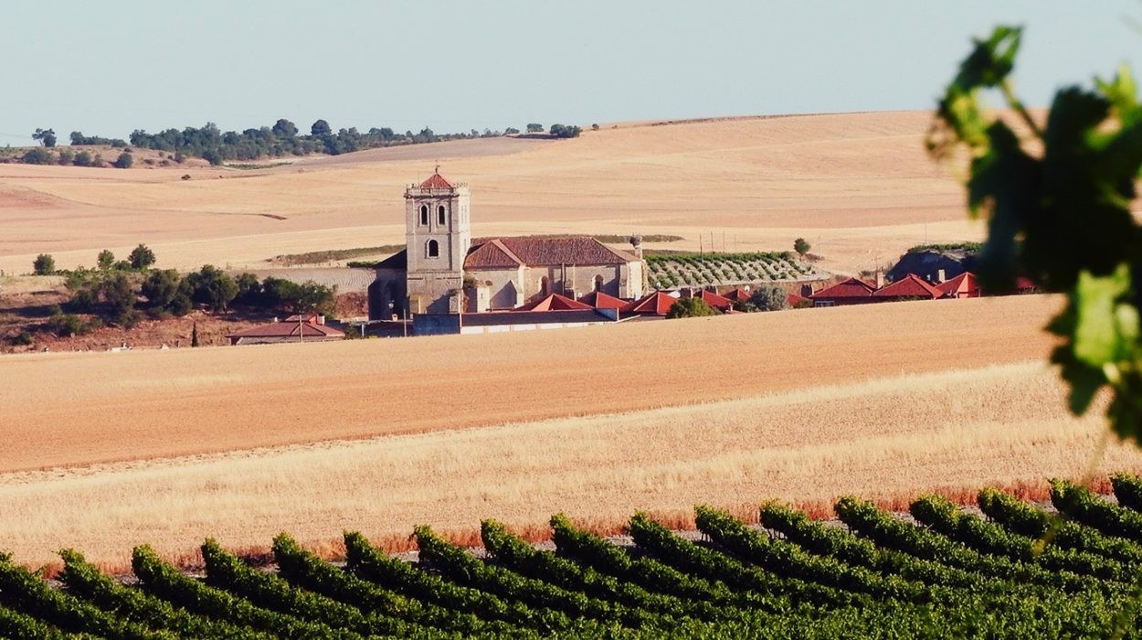 Sinforiano Bodegas