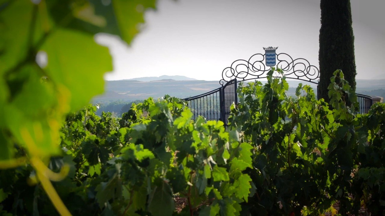 Bodegas del Marqués de Vargas