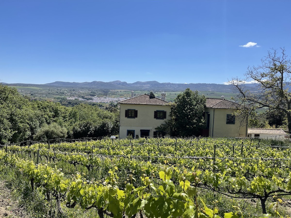 Bodega Kieninger