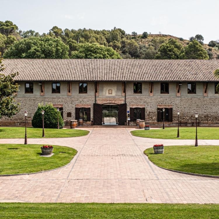 Viñas del Vero