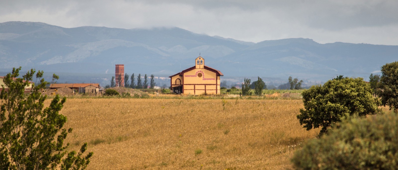 Bodega y viñedos El Sueño de las Alforjas