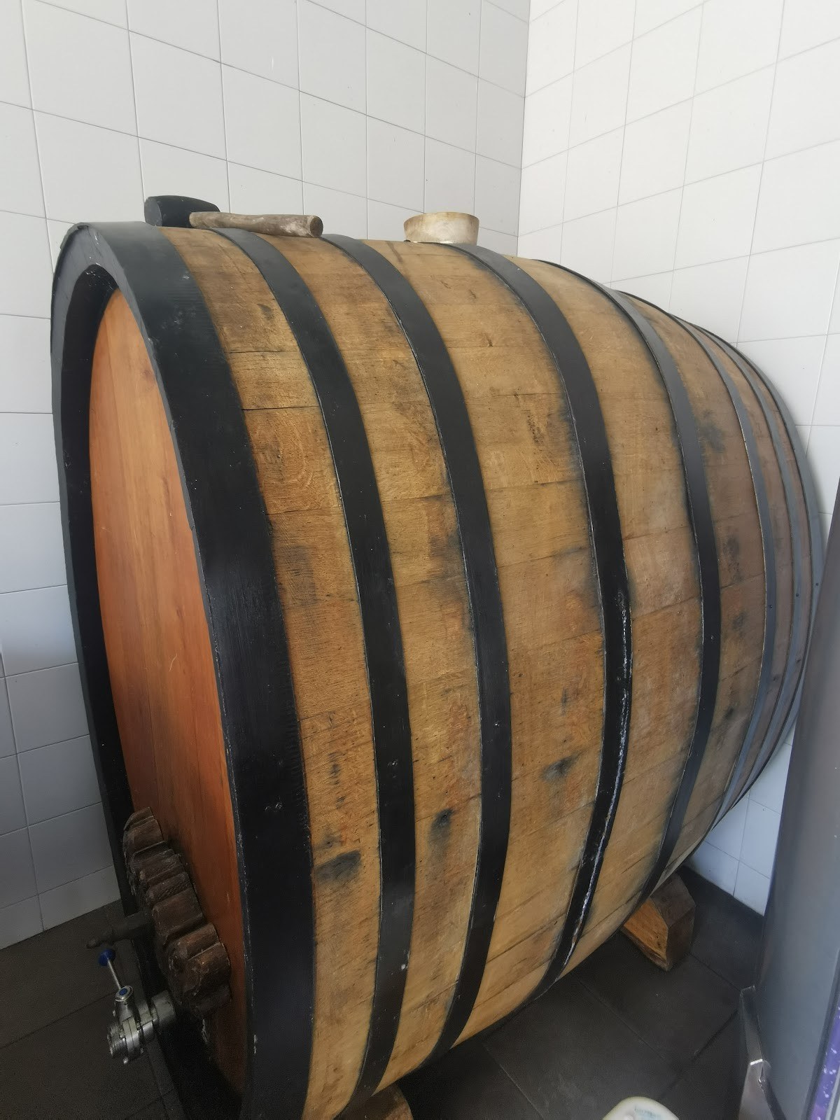 Quinta Da Muradella