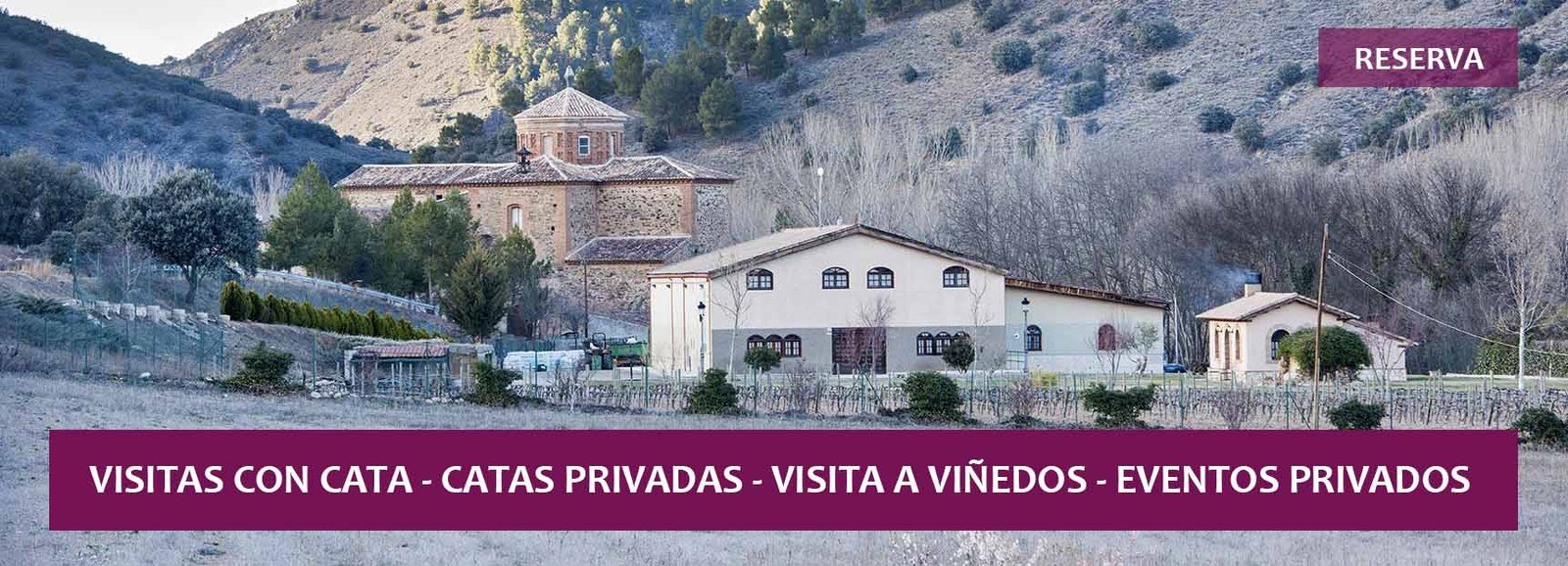 Bodega Sommos Garnacha