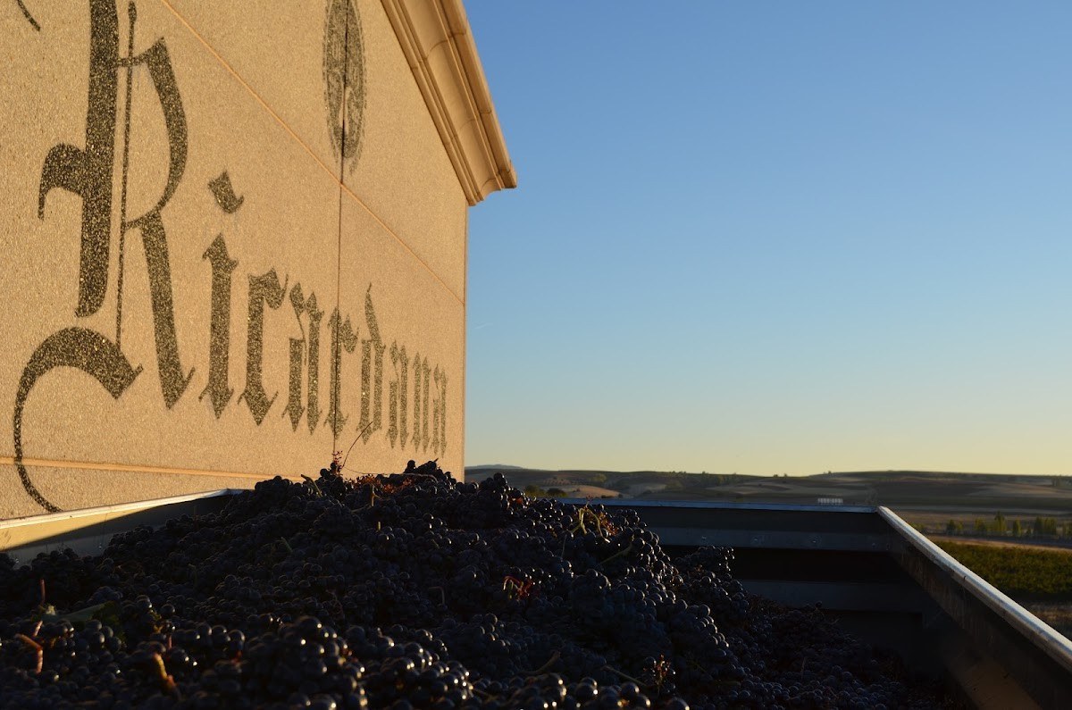 Bodegas Rojo (Ricardana) - Ribera del Duero