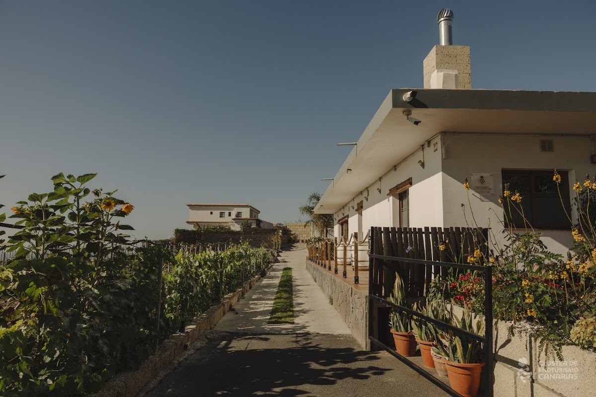 el rebusco bodegas