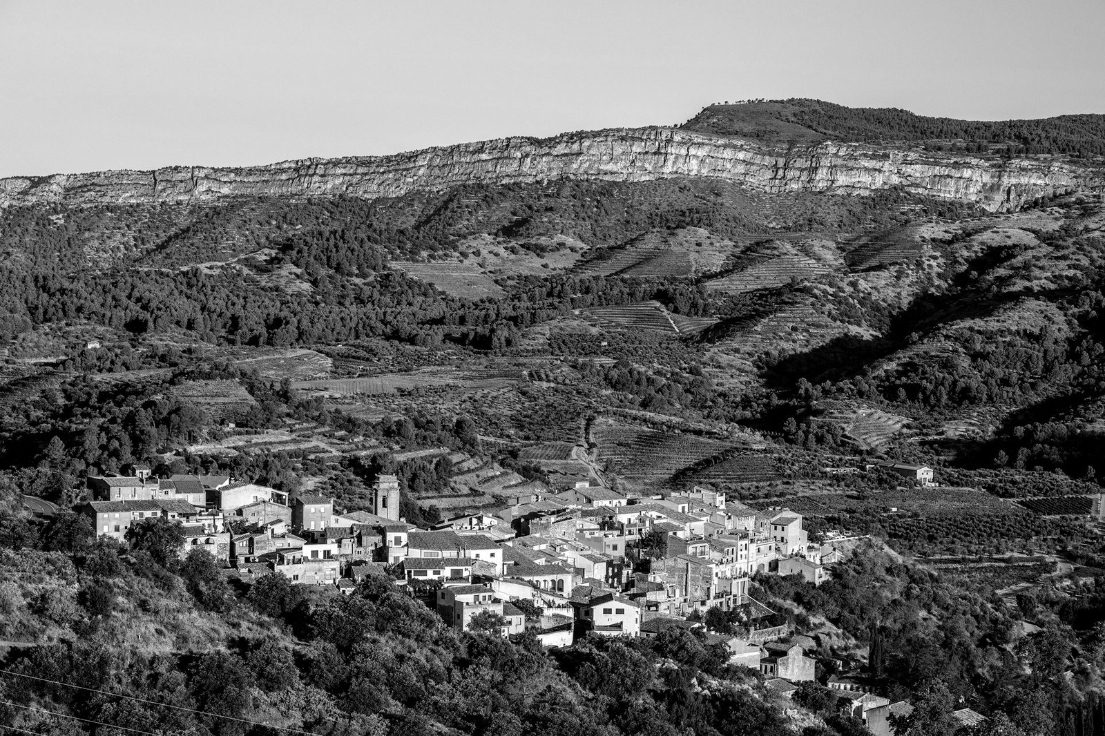 Terroir Al Límit