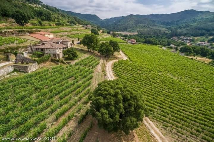 Pazo Casanova