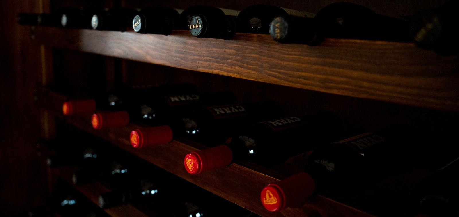 Bodega Cyan