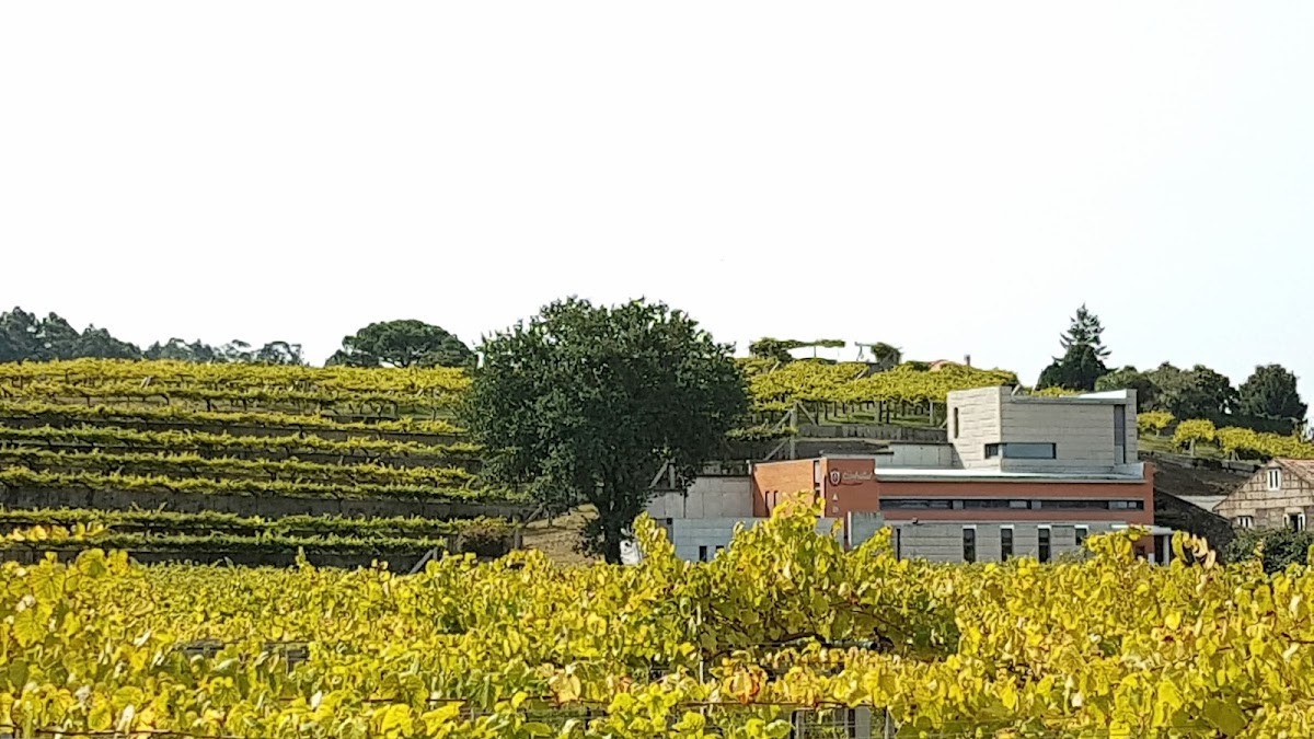 Bodega Carballal Vázquez Abal, S.L.