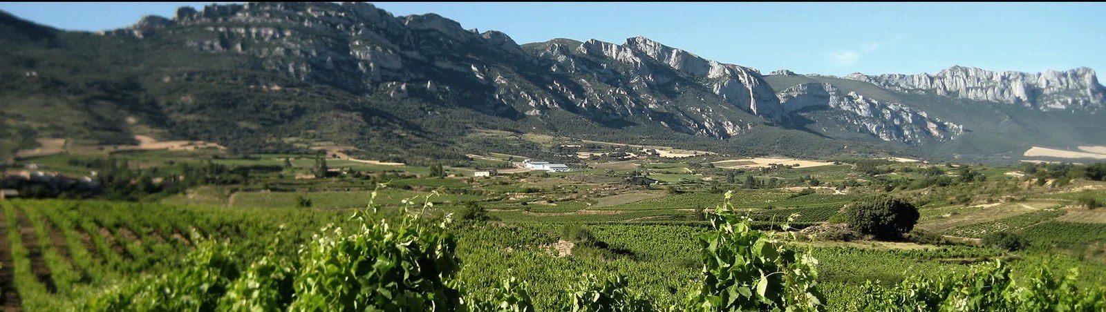 Bodegas Beltxuri