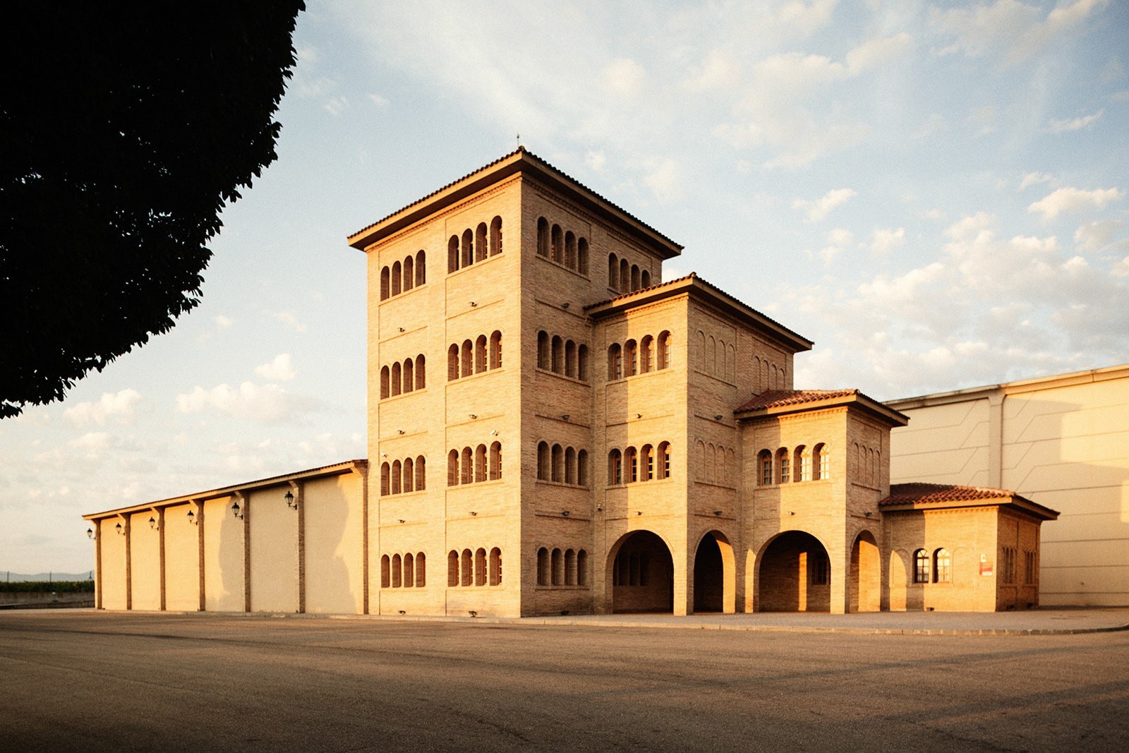 Viñedos y Bodegas Esteban Martín