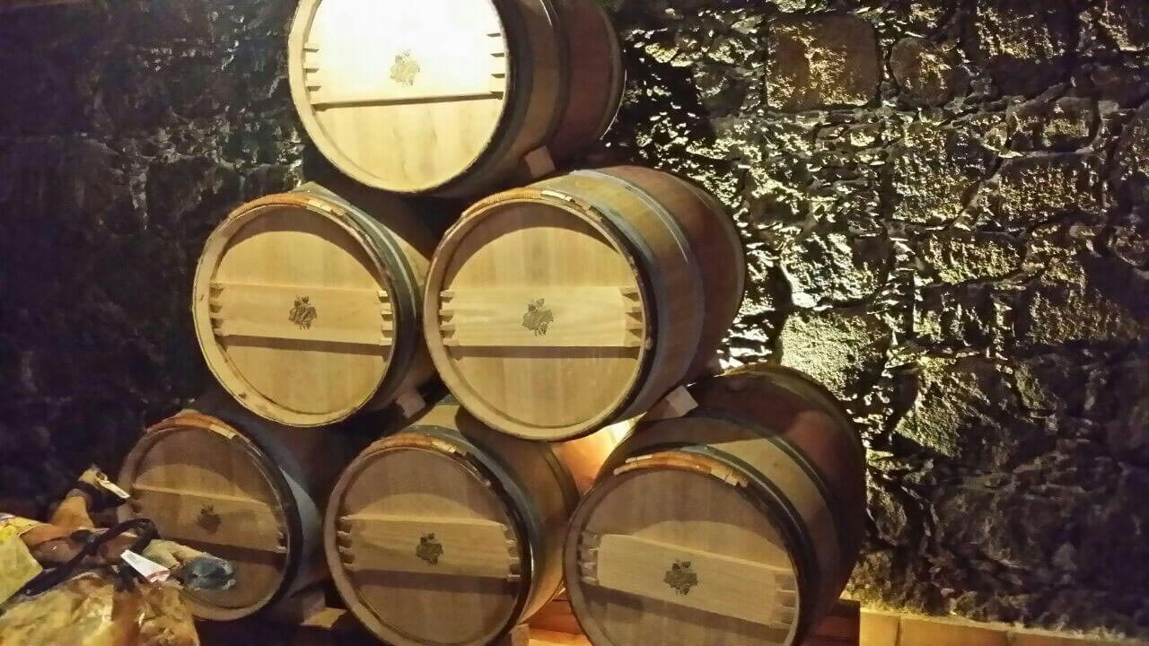 Museum Malvasia