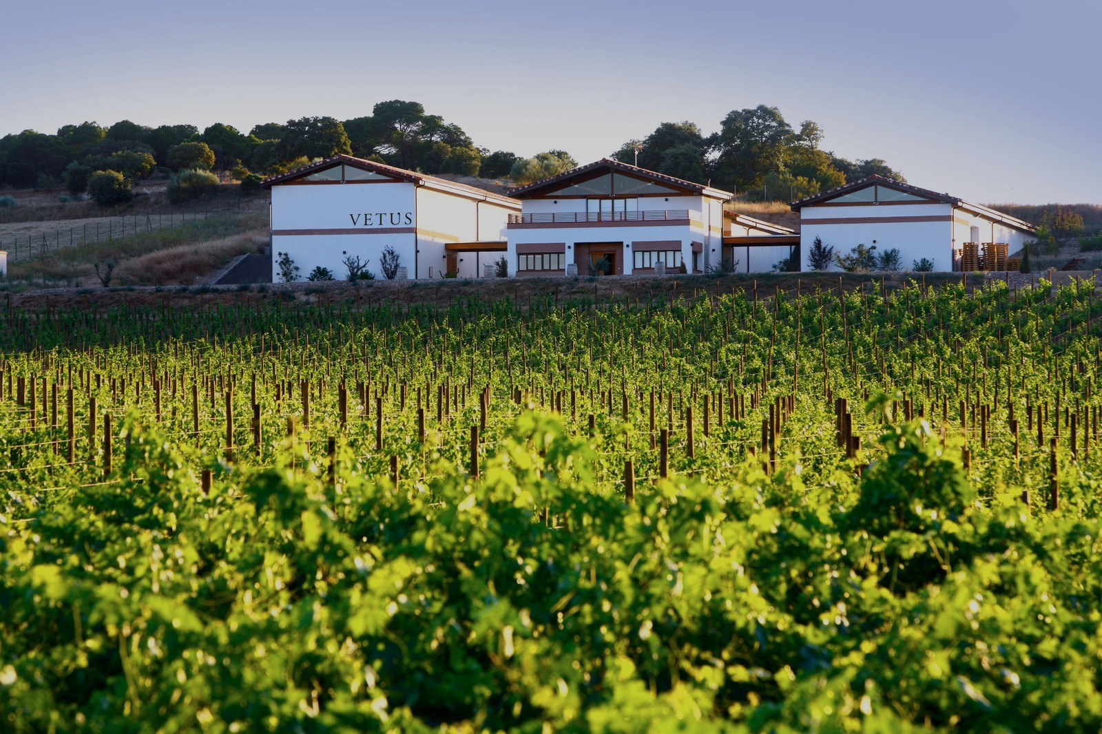 Bodegas Vetus