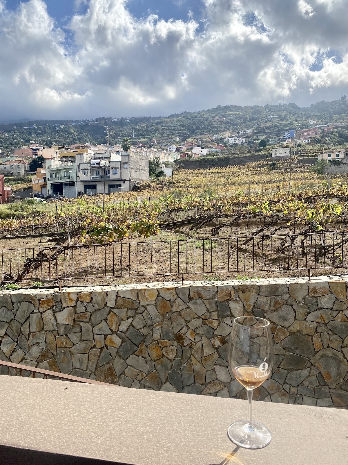 Bodega Tajinaste