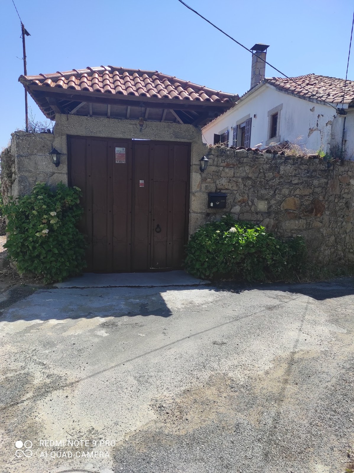 Panton De Abaixo Bodega