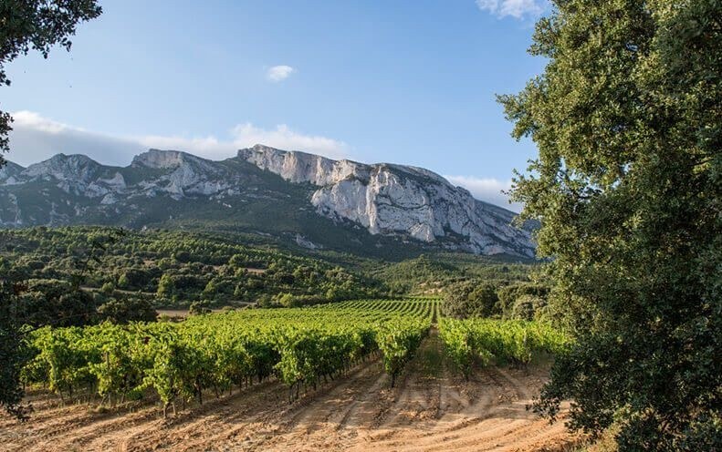 Bodegas y Viñedos Pujanza