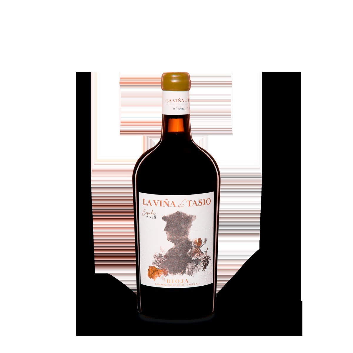 Bodegas Valdeloyo