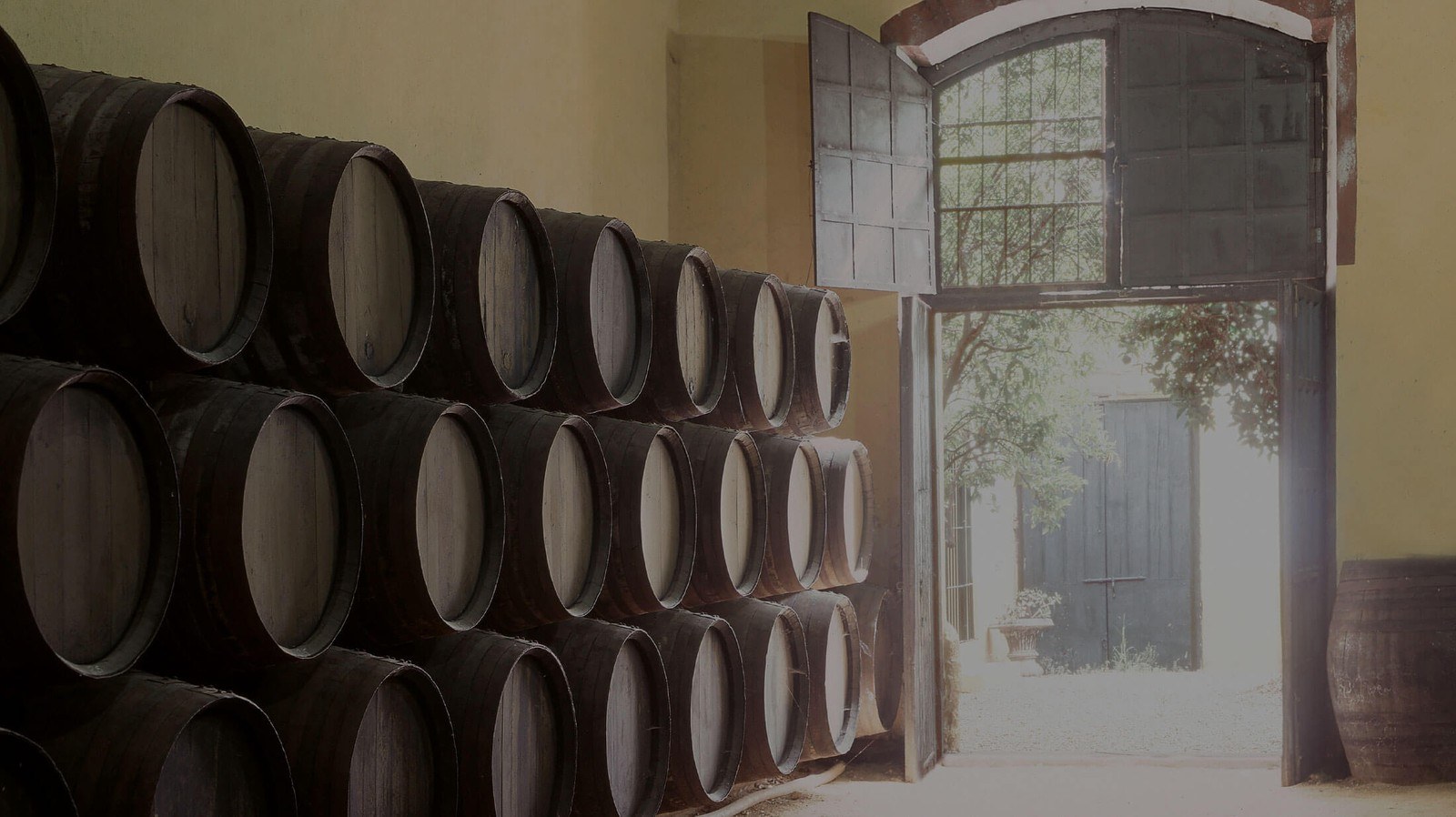 Bodegas Fernando de Castilla