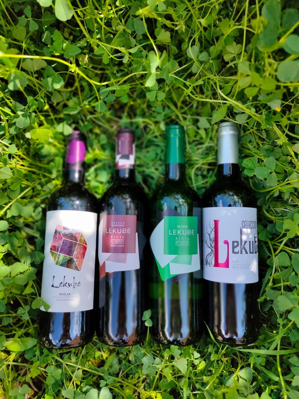 Bodegas Lekube
