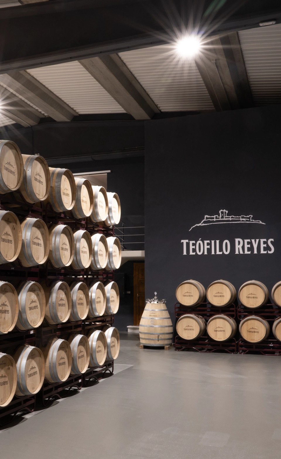 Bodegas Teófilo Reyes