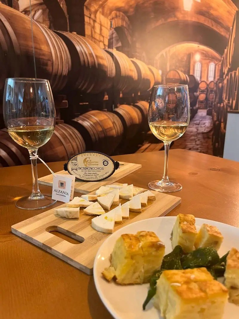 The winery shop- Tenerife Wine tasting personalized -previous booking. Canary wine