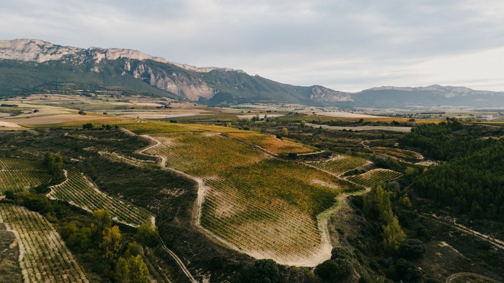 Bodegas Alavesas