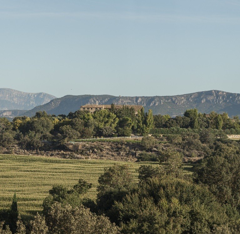 Bodegas Costers del Sió, S.L.