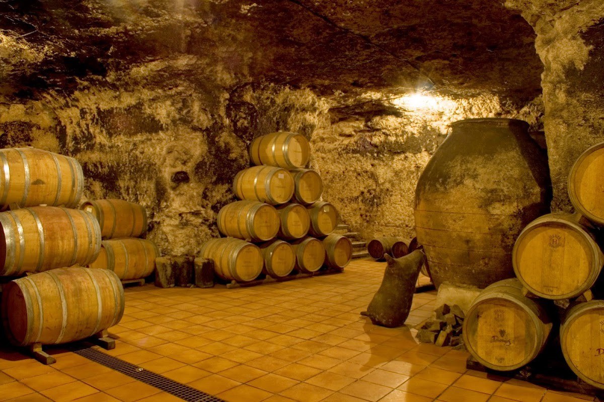 La Bodega de las Estrellas