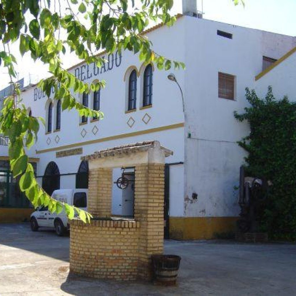 Bodegas Delgado, S.L.