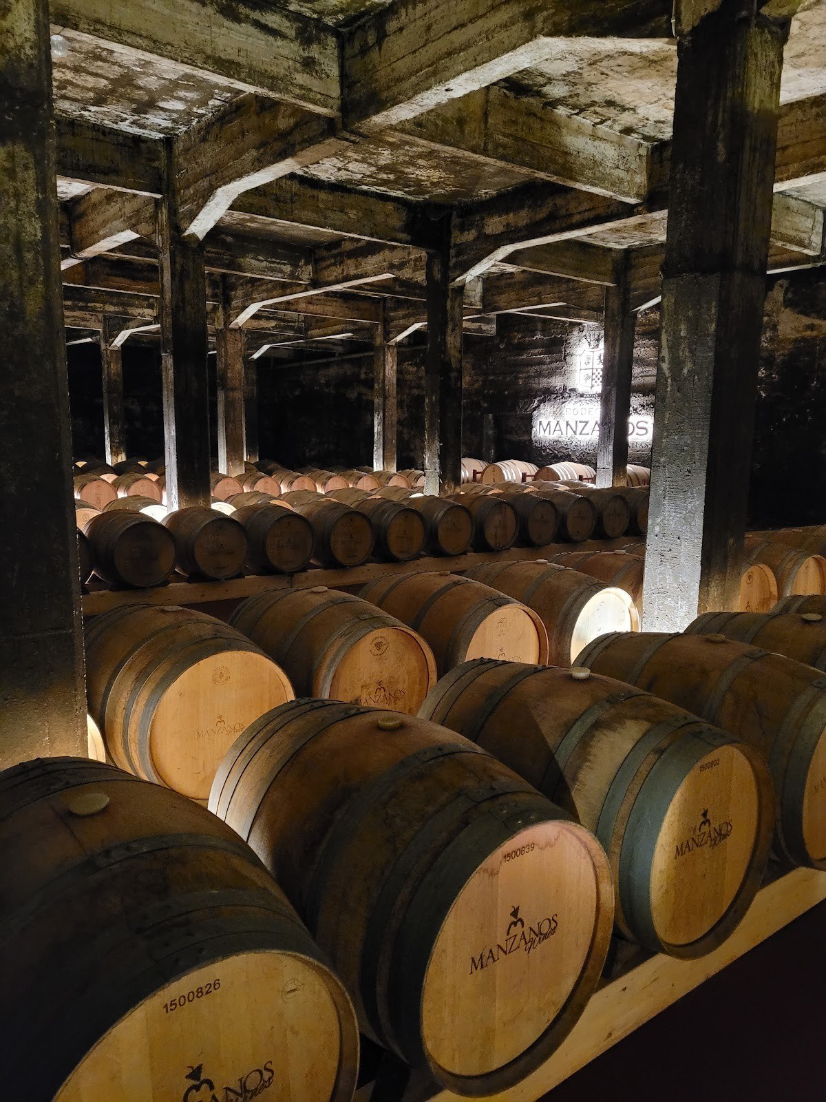 Bodegas Berceo
