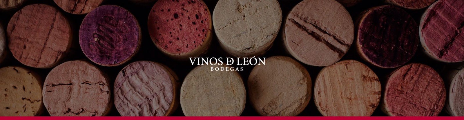 Bodegas Vinos de León, VILE S.A.
