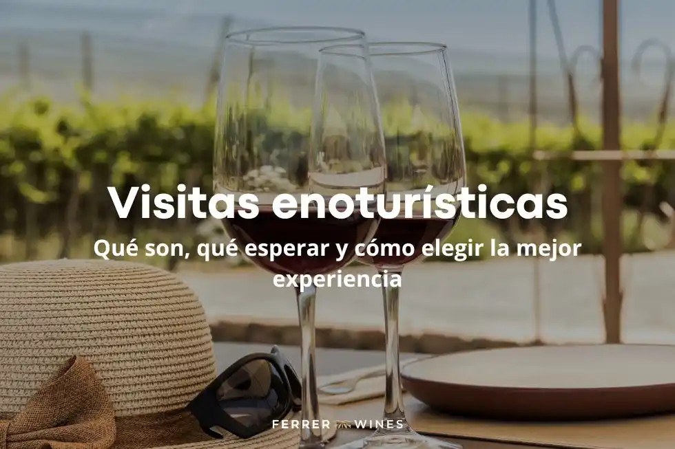 Bodegas Vionta