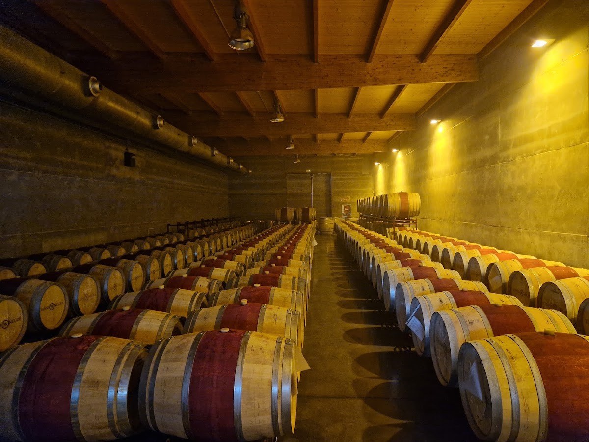 Celler Tianna Negre
