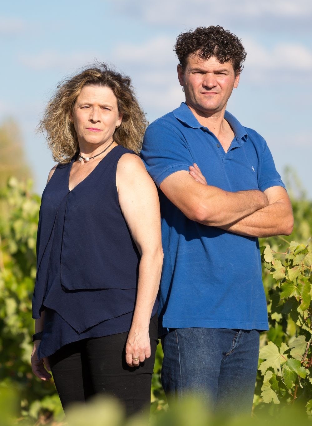 BODEGAS VIDAL SOBLECHERO