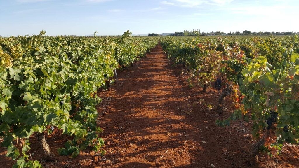 Bodegas Occidente