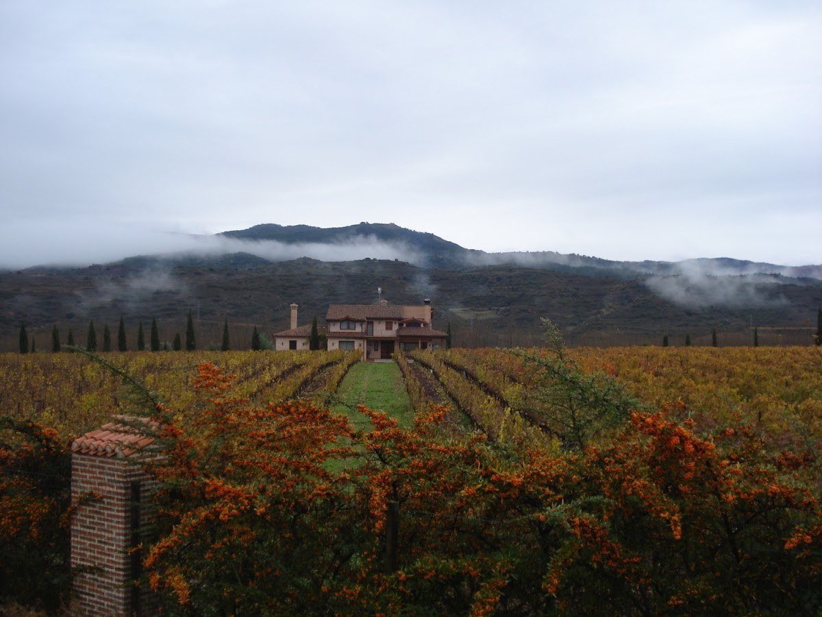 Bodegas Juan Carlos Sancha