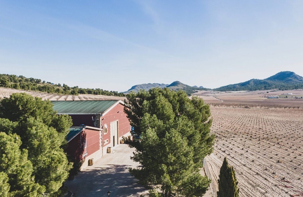 Viñedos y Bodegas Xenysel