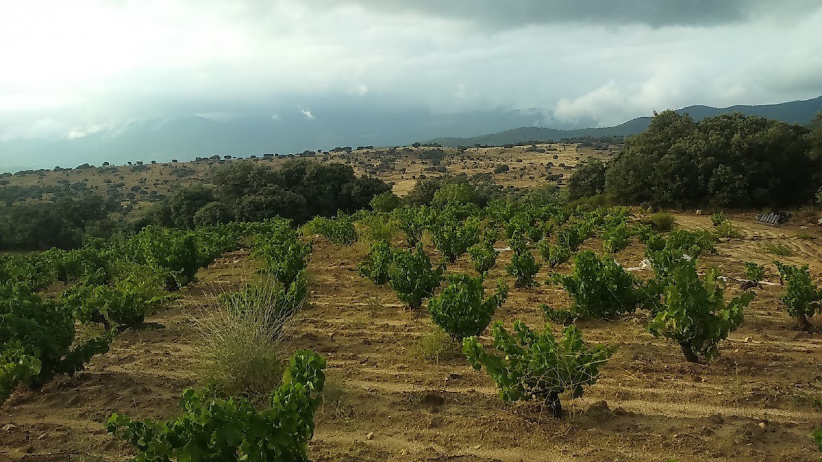 Bodega Ecologica Luis Saavedra