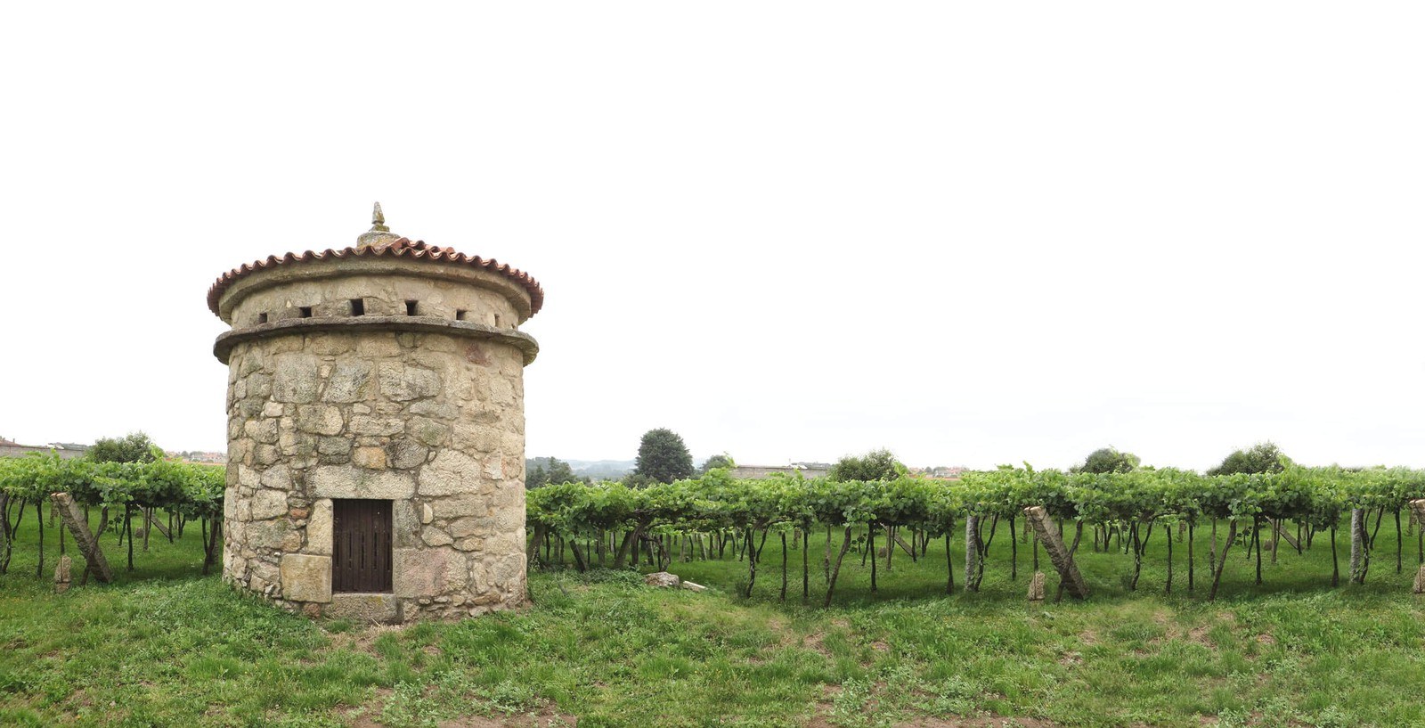 Bodega Zárate