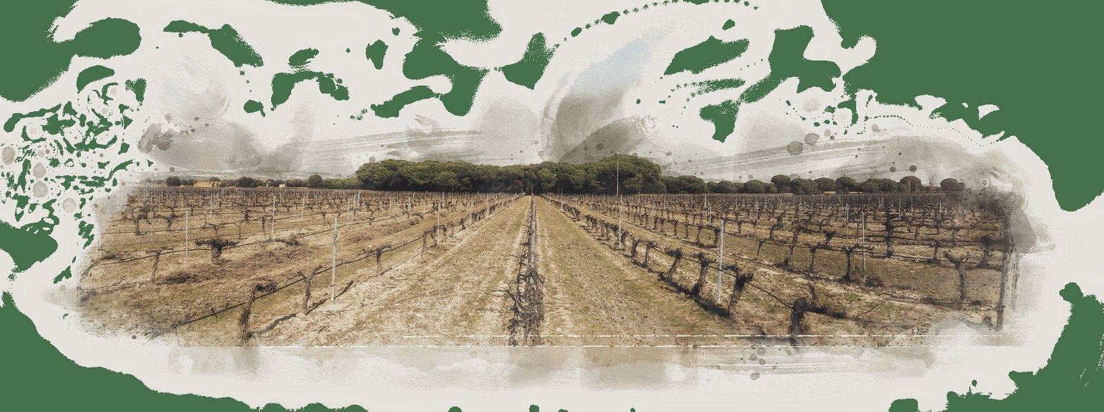 Bodegas Cruz de Alba