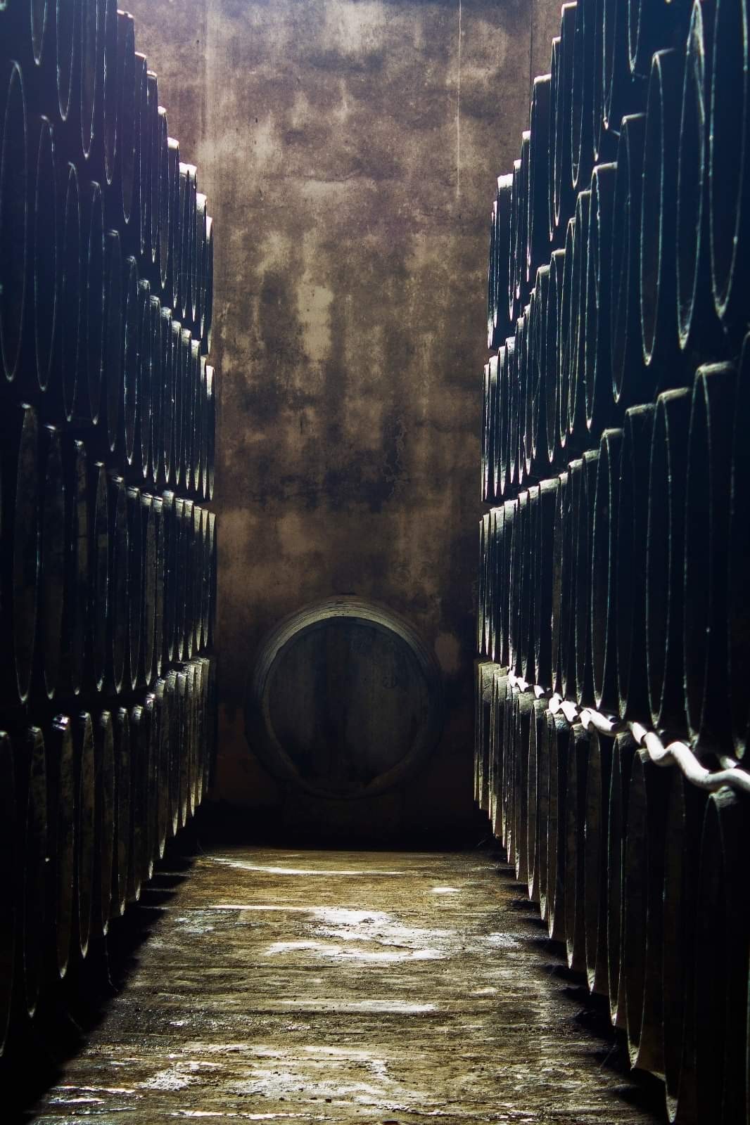 Bodegas del Rio e hijos