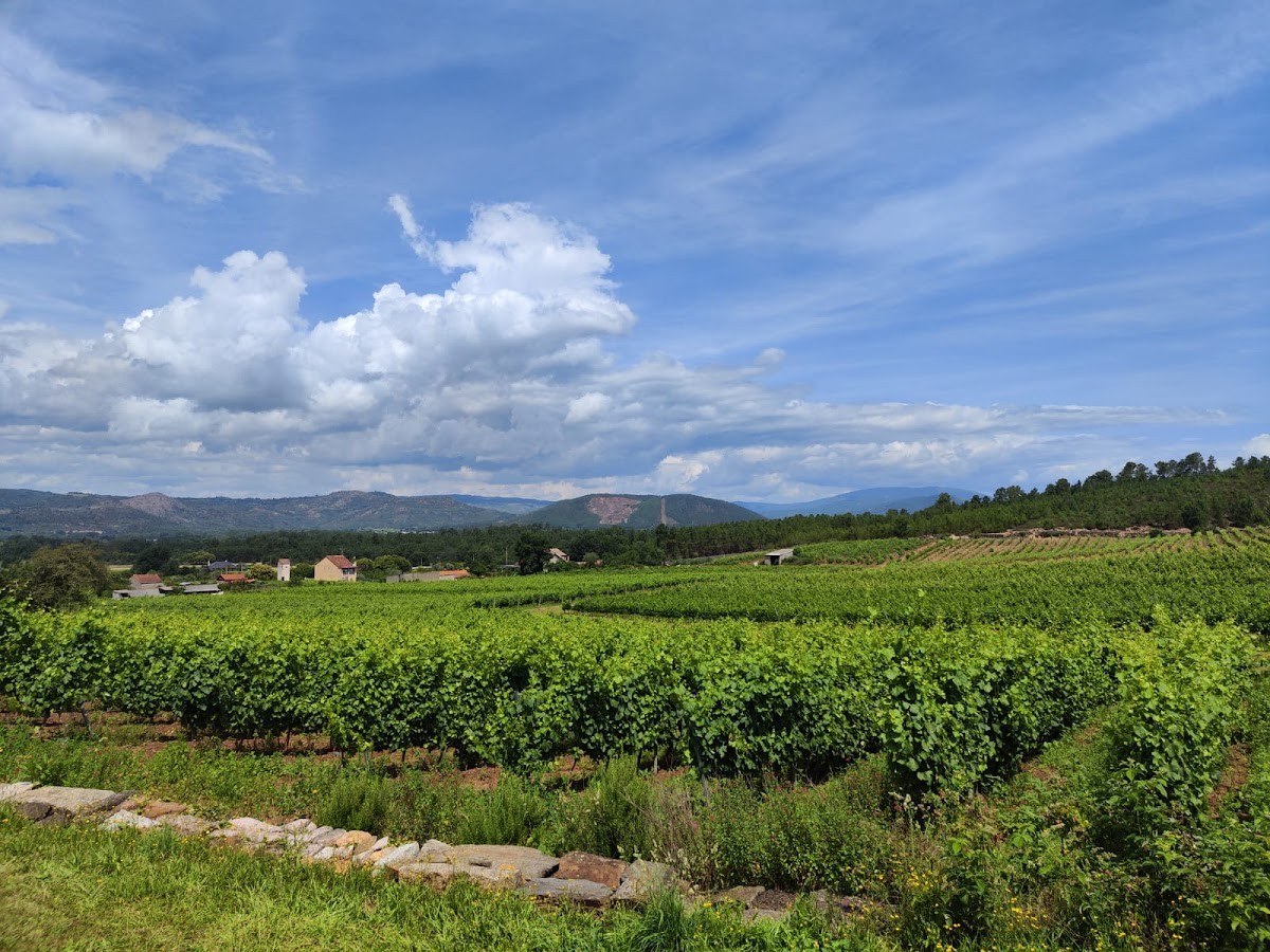 Bodega Pazo de Valdeconde