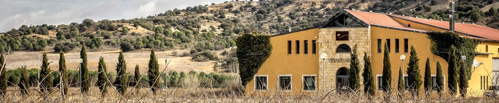 Bodega Viñaguareña