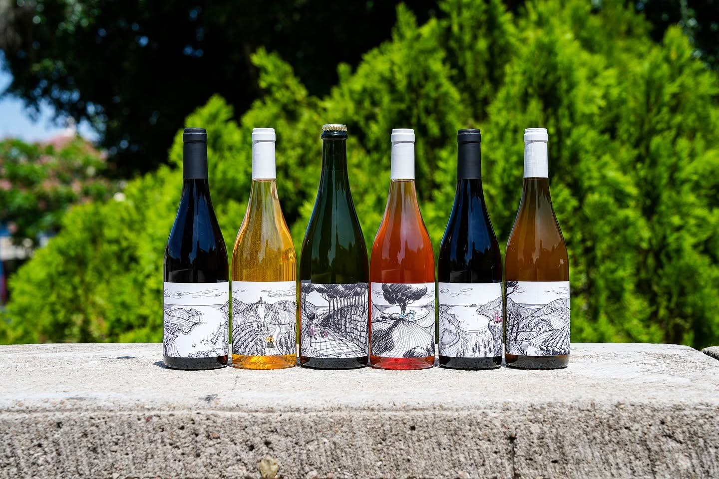 Artesano Vintners