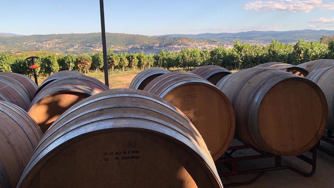 vinos remigio enriquez