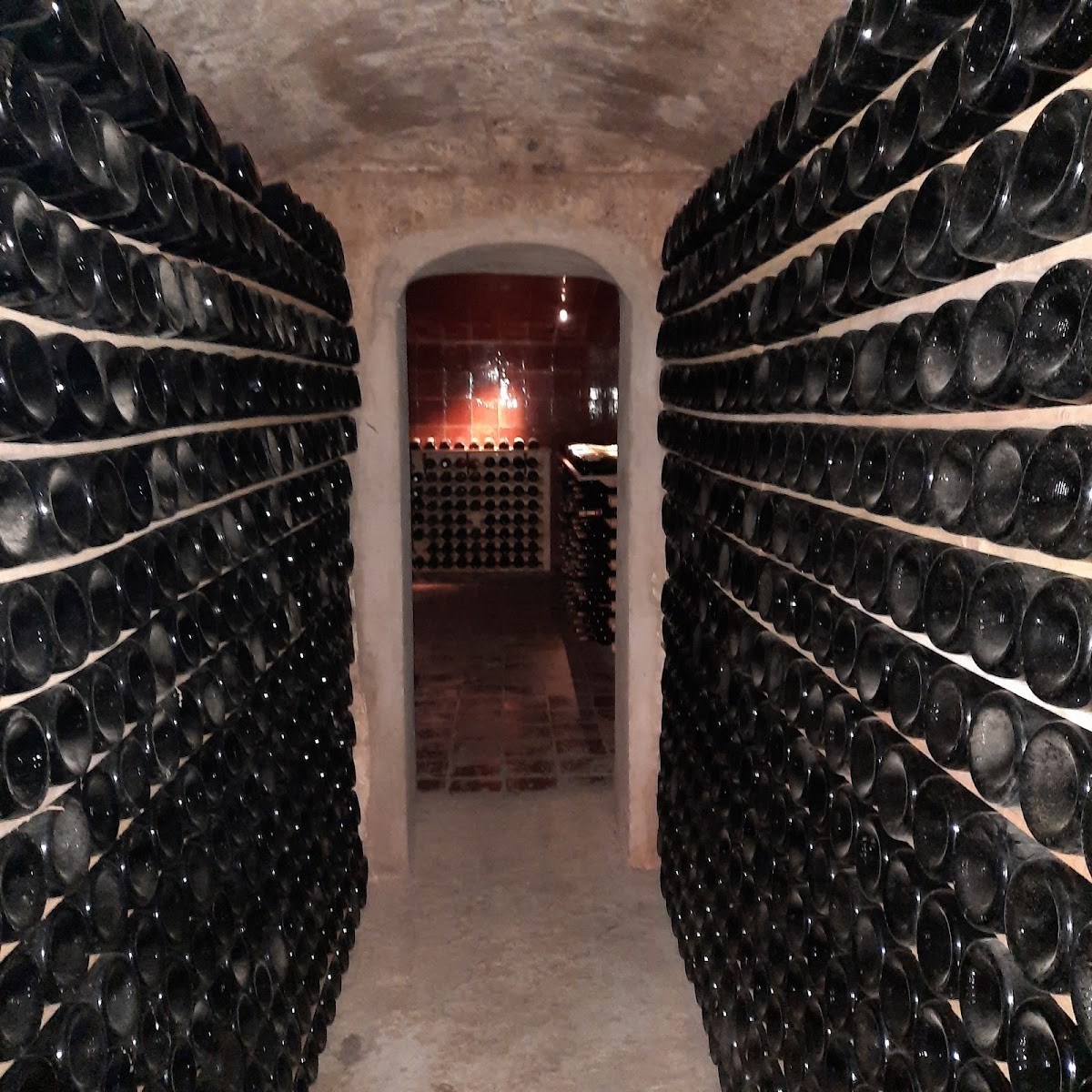 Vins i caves Joan Segura Pujadas